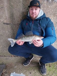 Zander