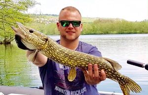 Northern Pike