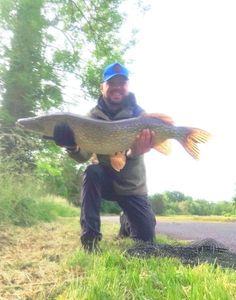 Northern Pike