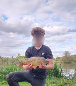 Common Carp