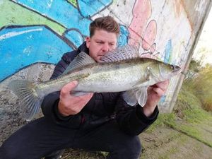 Zander
