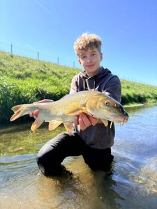 Barbel