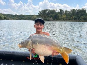 Mirror Carp