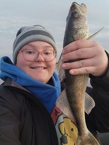 Walleye