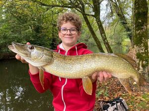 Northern Pike