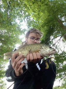 Smallmouth Bass