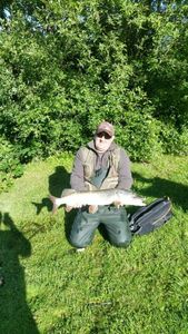 Northern Pike