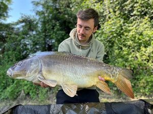 Mirror Carp