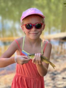 Smallmouth Bass