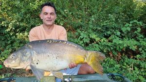 Common Carp