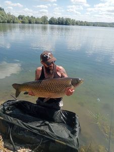 Grass Carp