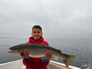 Sea Trout