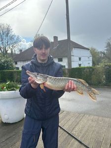 Northern Pike
