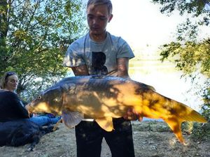 Mirror Carp