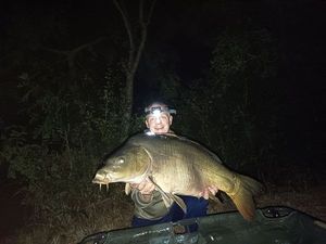 Mirror Carp