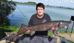 Siberian Sturgeon