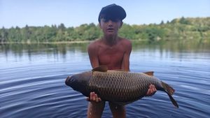 Common Carp