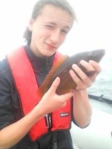 Ballan Wrasse