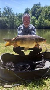 Mirror Carp