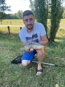 Mirror Carp
