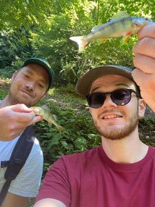 European Perch