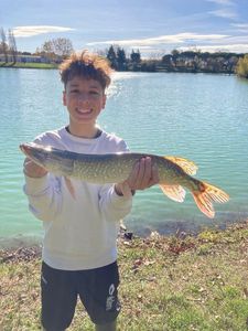 Northern Pike