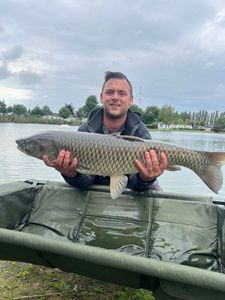 Grass Carp