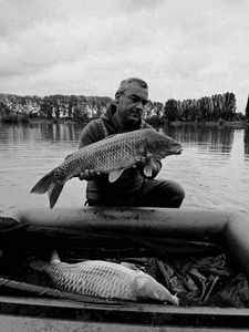 Common Carp