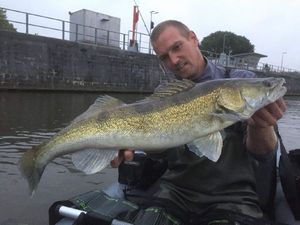 Zander