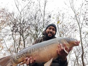 Mirror Carp