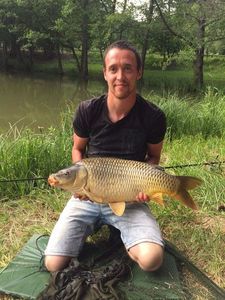 Common Carp
