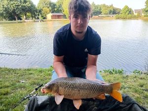 Common Carp
