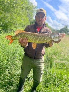 Northern Pike