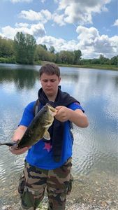 Smallmouth Bass