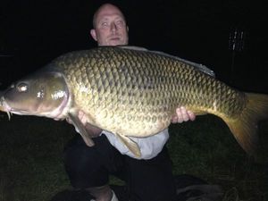 Common Carp
