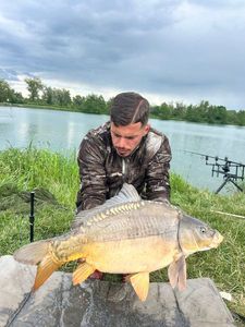 Mirror Carp