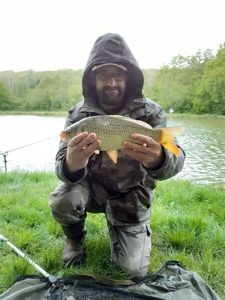Common Carp