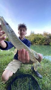 Northern Pike