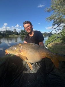 Mirror Carp