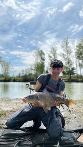 Leather Carp