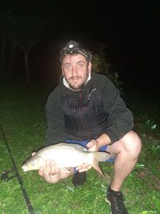 Common Bream