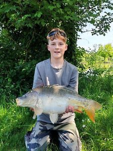 Mirror Carp