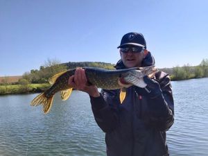 Northern Pike