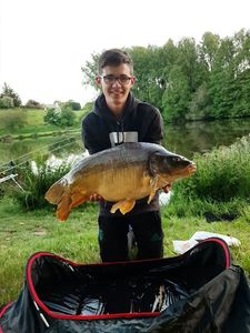 Mirror Carp