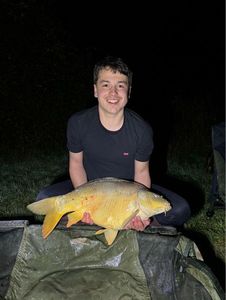 Mirror Carp