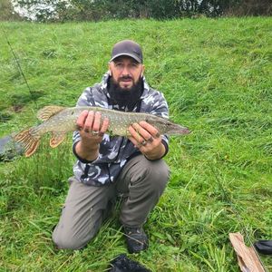 Northern Pike
