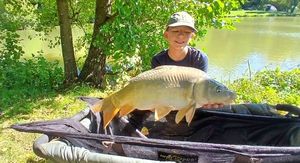 Mirror Carp