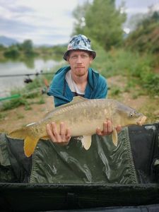 Mirror Carp