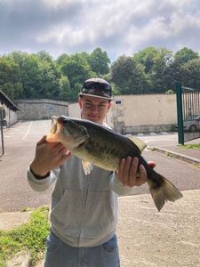 Smallmouth Bass