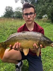 Mirror Carp